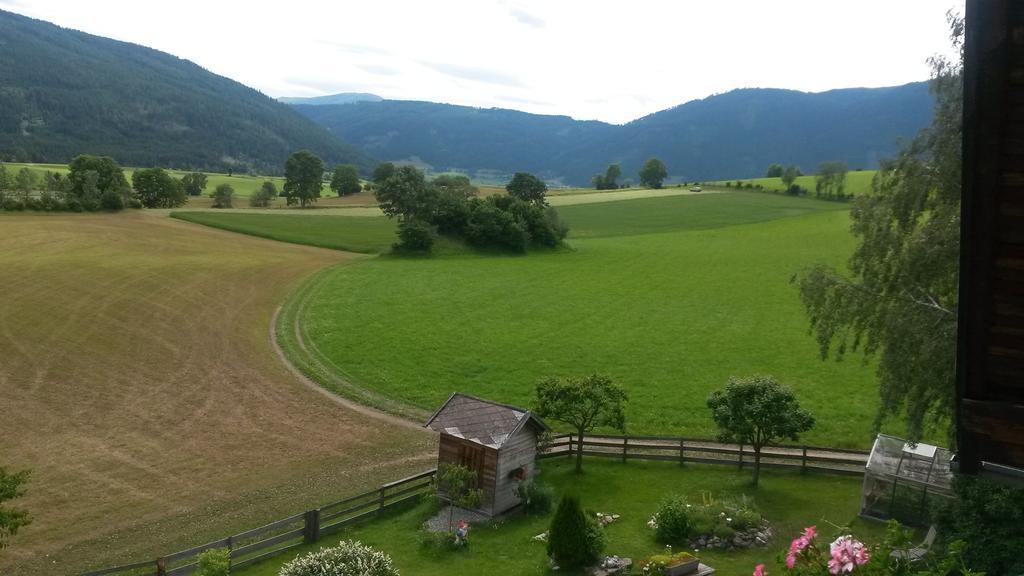 Lassacher Biobauernhof Mariapfarr Quarto foto